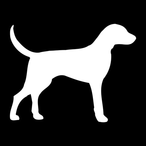 Foxhound fox hound dog - fox,