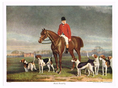 Vintage art print fox - fox, hunting