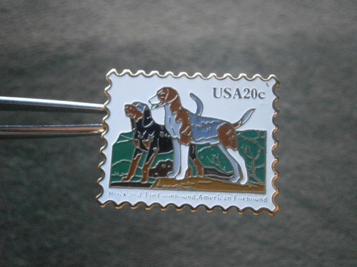 American foxhound black - &, &